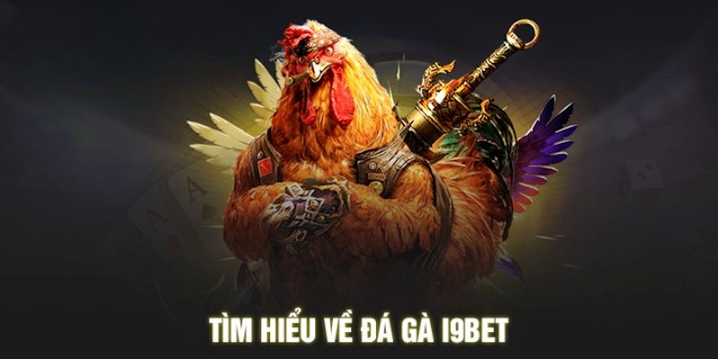 Giới thiệu sân đá gà i9BET
